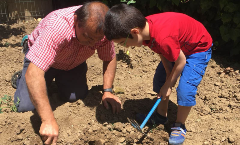 Katılımcıların açık alanda etkileşimde bulunduğu sosyal bir bahçe organizasyonu.